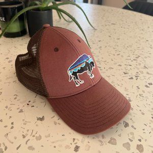 Patagonia Bison Snapback Hat (One Size)